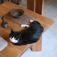 Table Weite